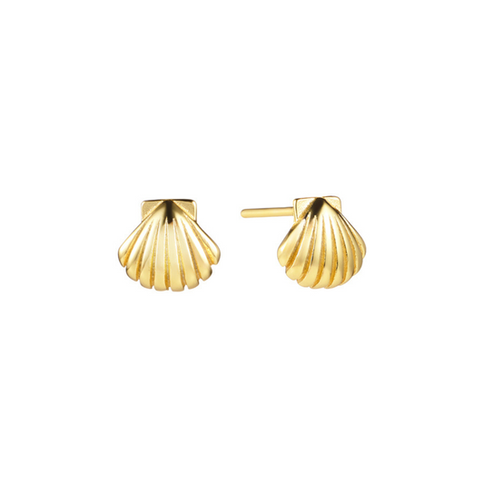 Mini Shell Studs (Gold)